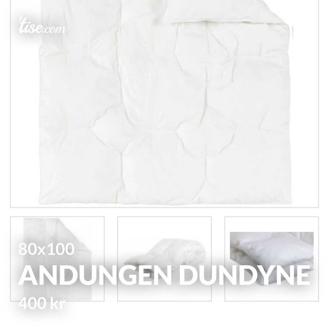 Andungen dundyne