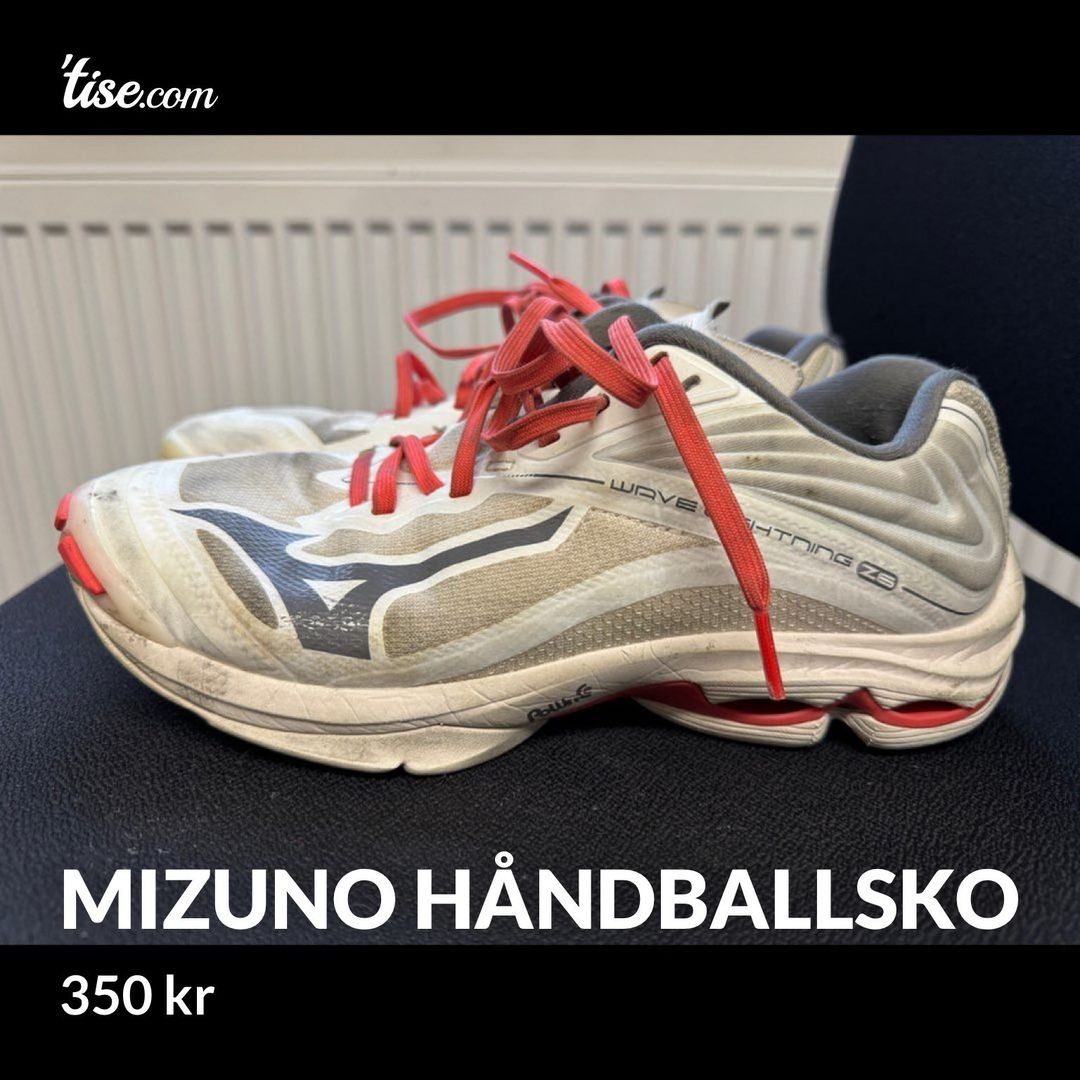 Mizuno Håndballsko