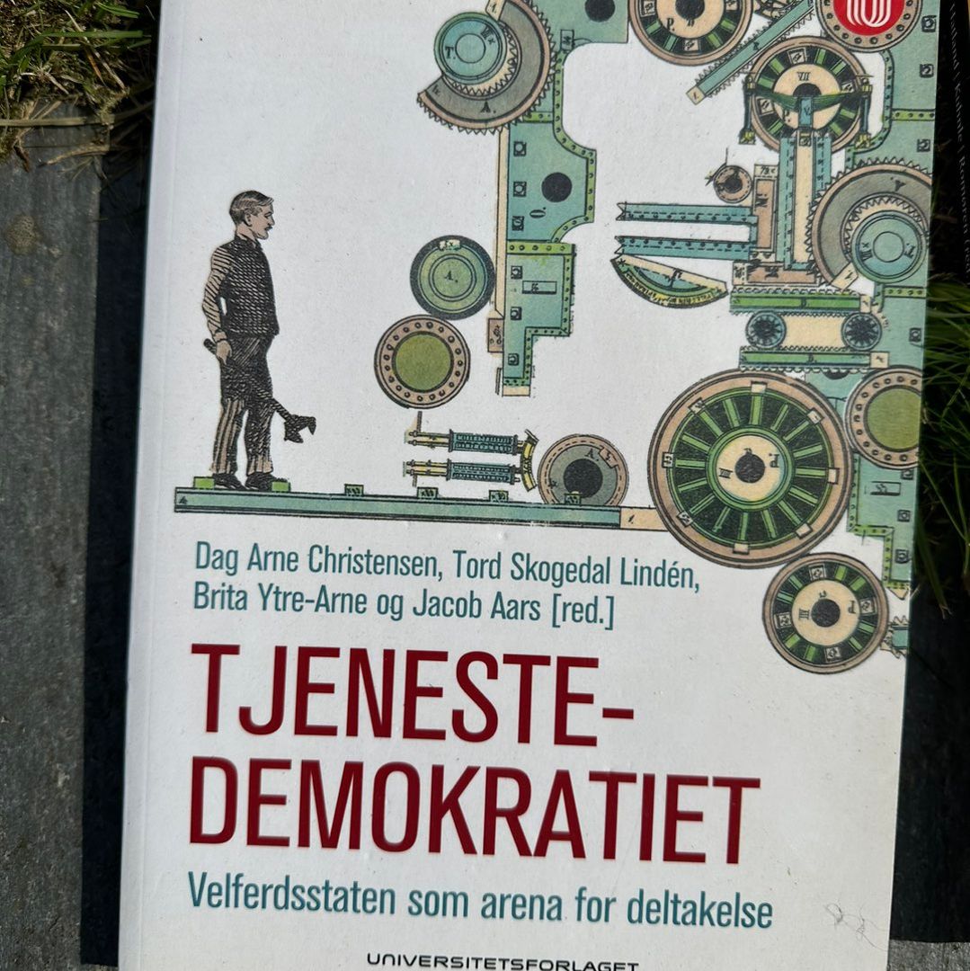 Tjeneste demokratiet