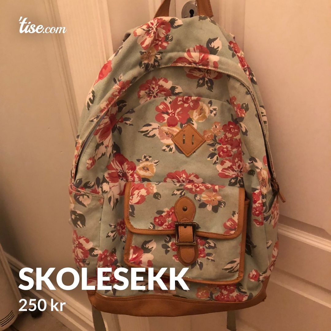 Skolesekk