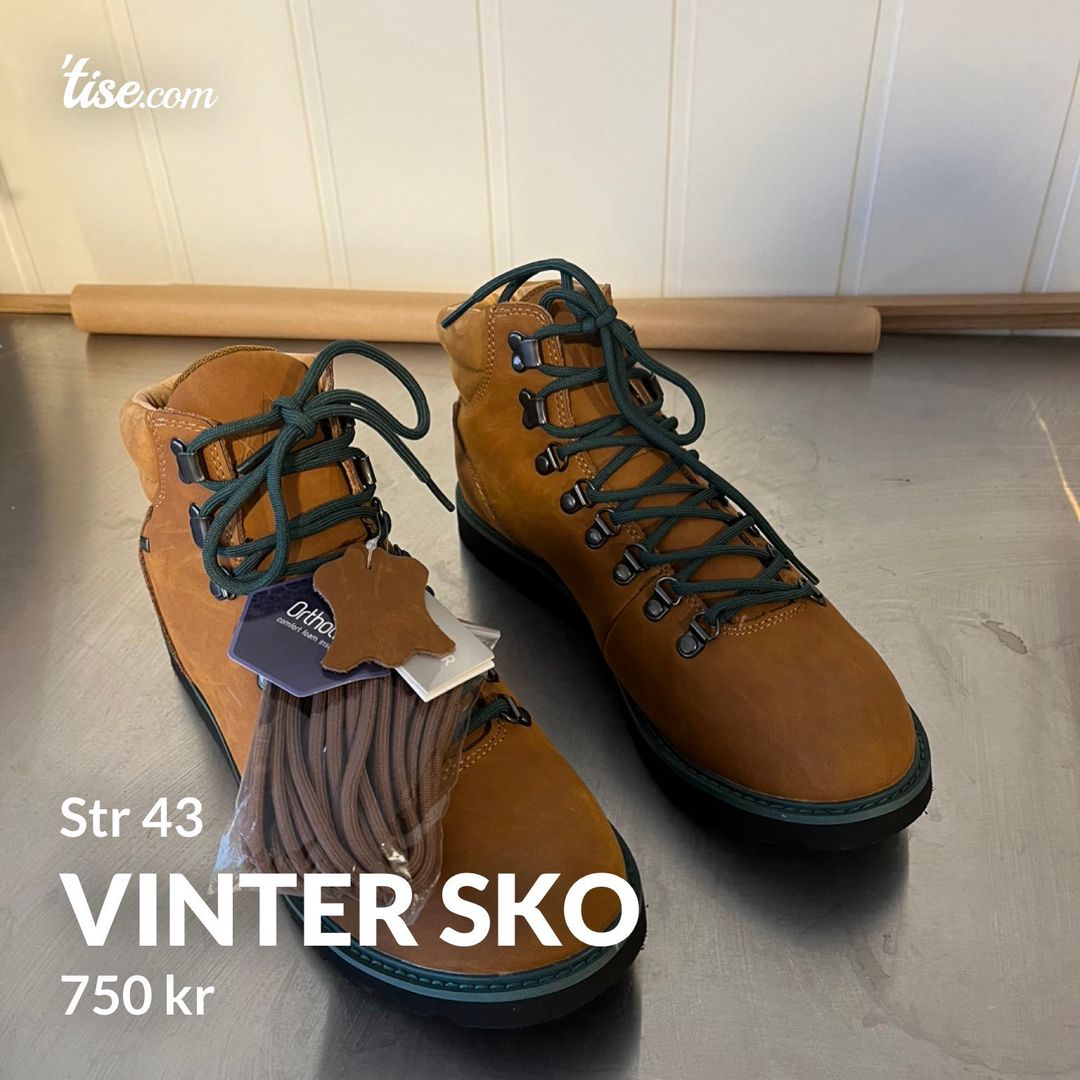 Vinter sko