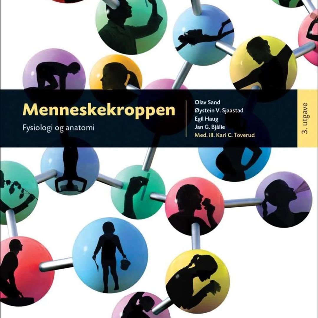 Menneskekroppen