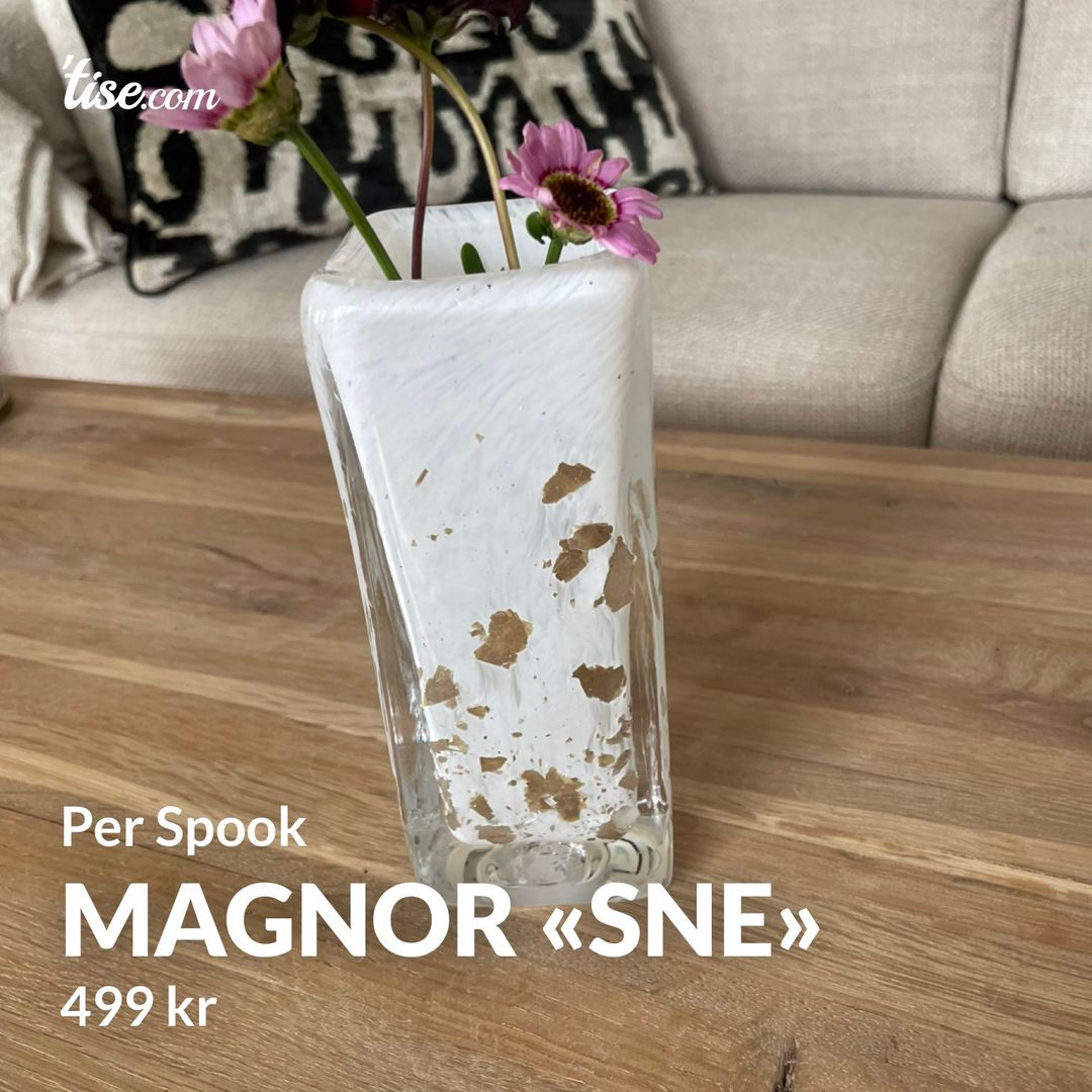 Magnor «SNE»