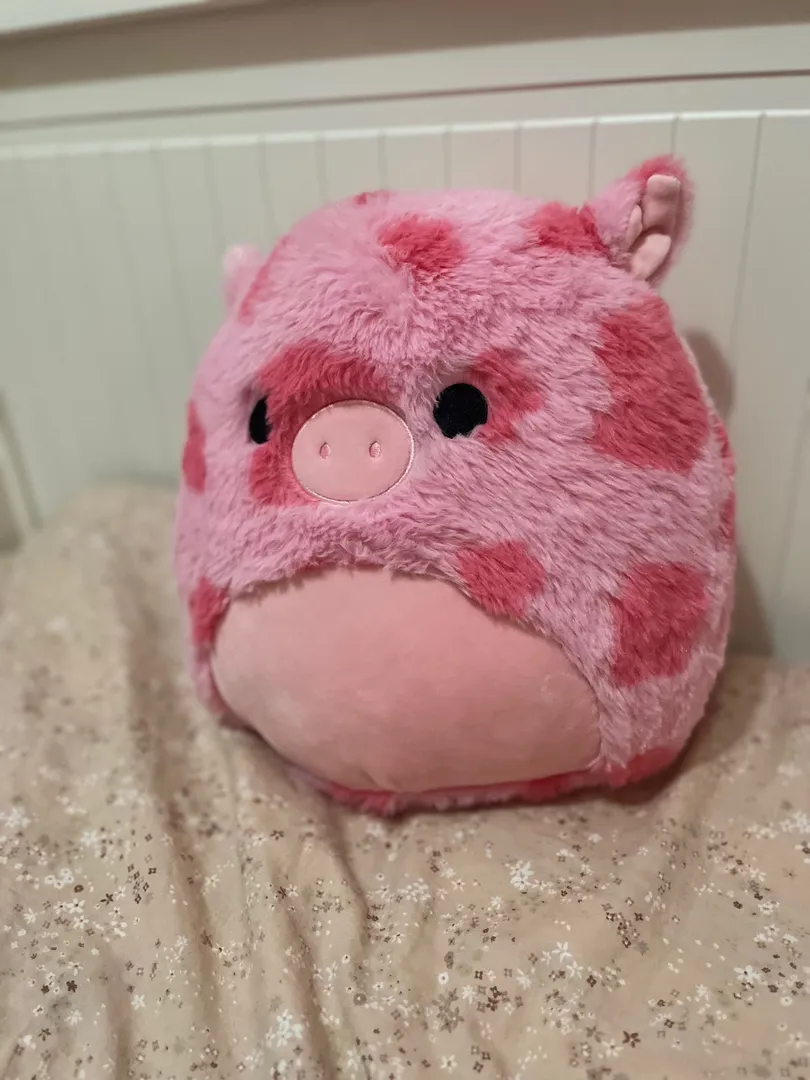 Squishmallow!