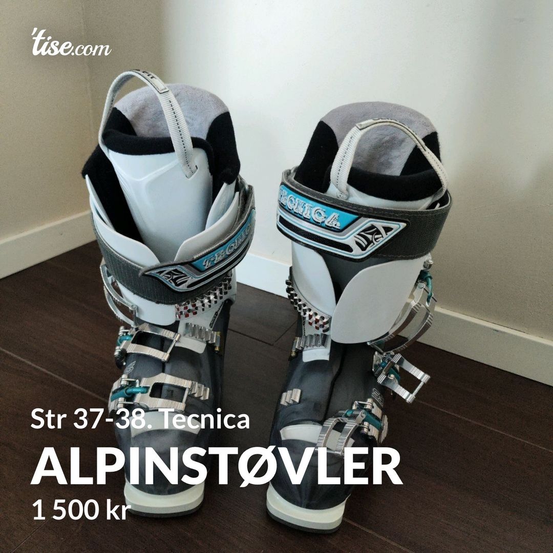 Alpinstøvler