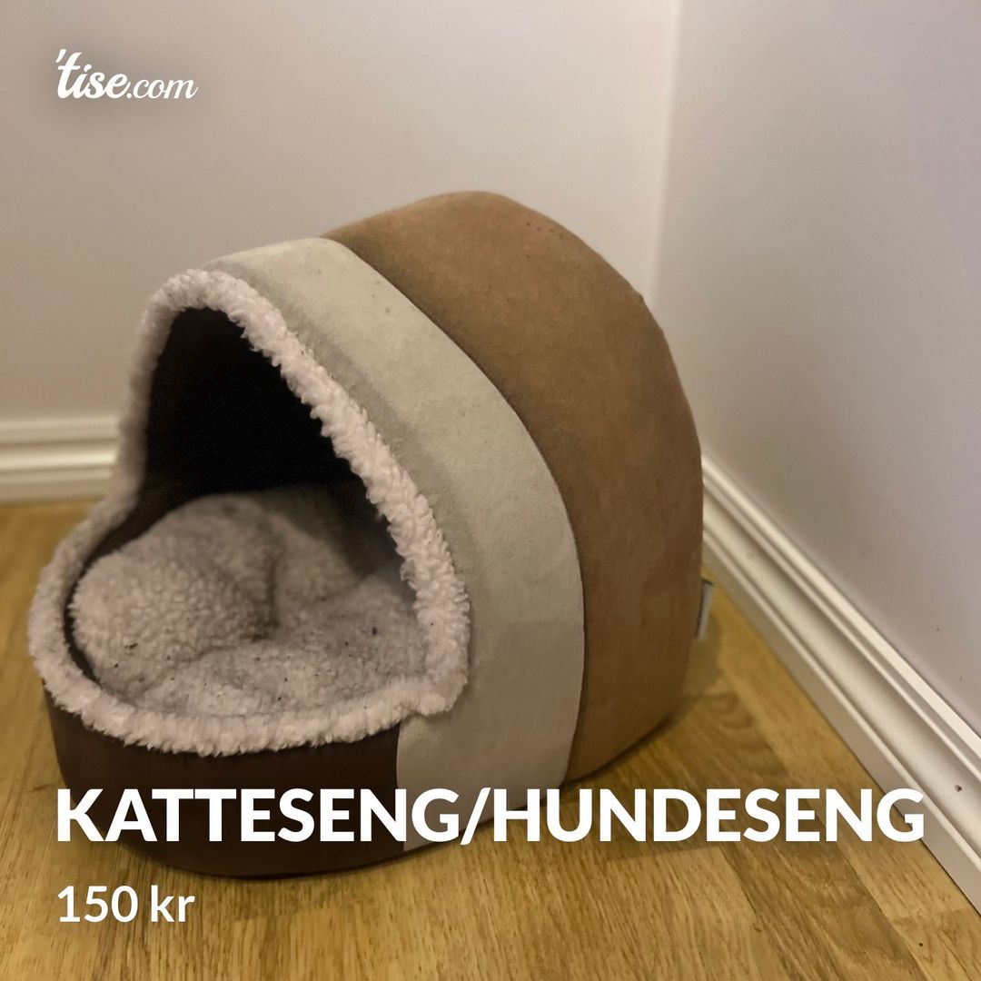 Katteseng/hundeseng