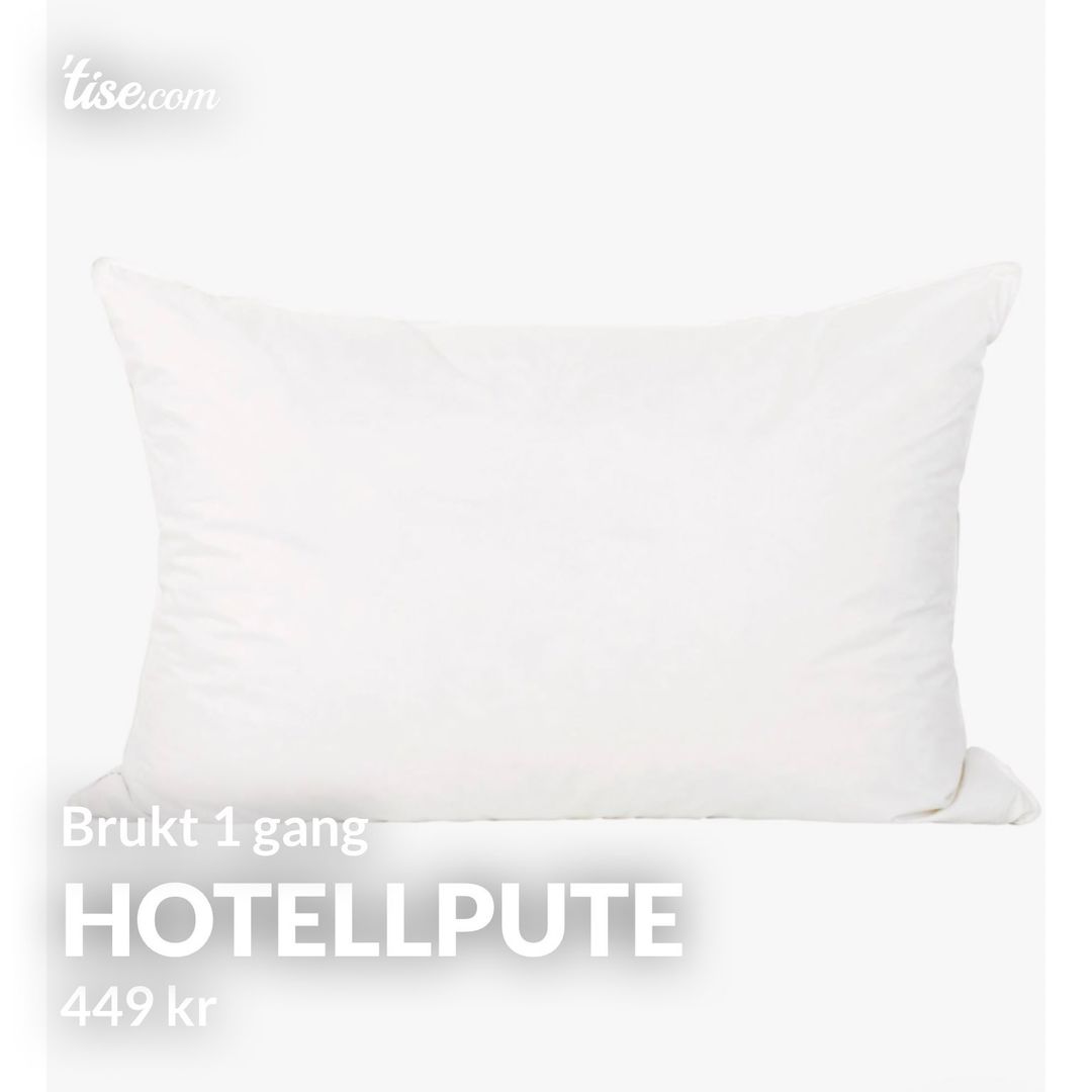 Hotellpute