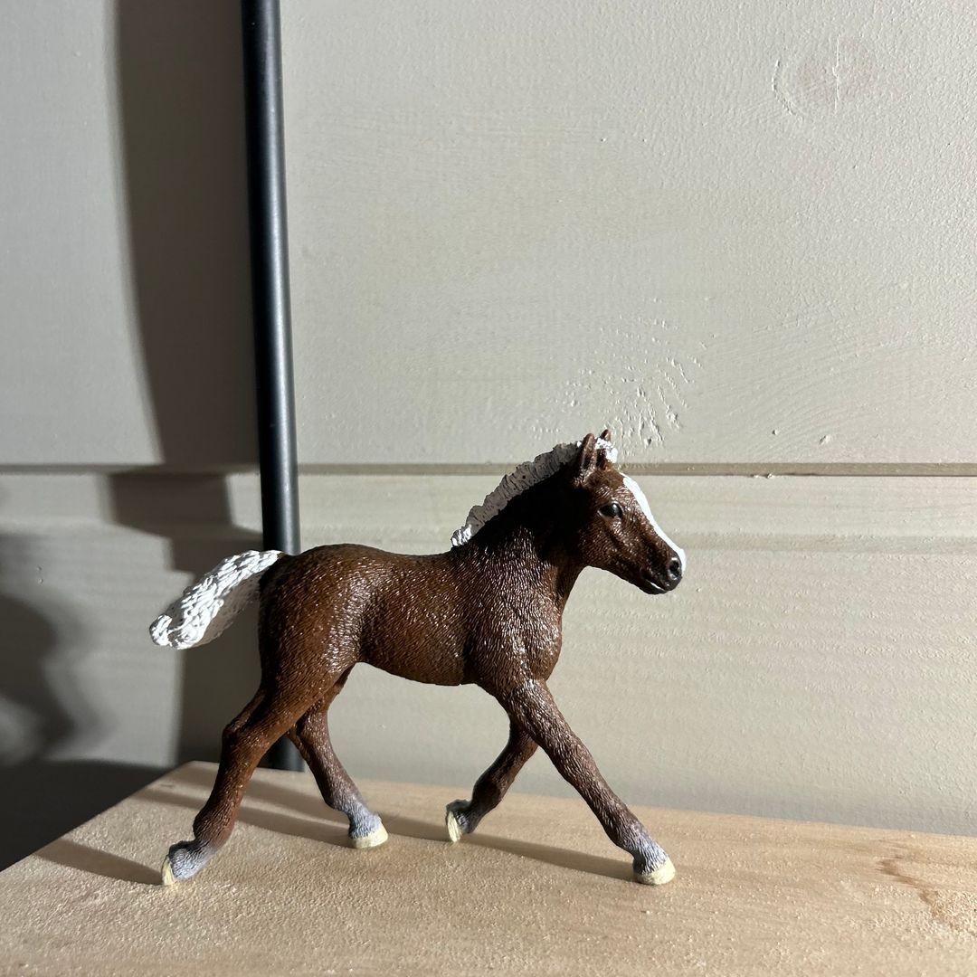 Schleich hest