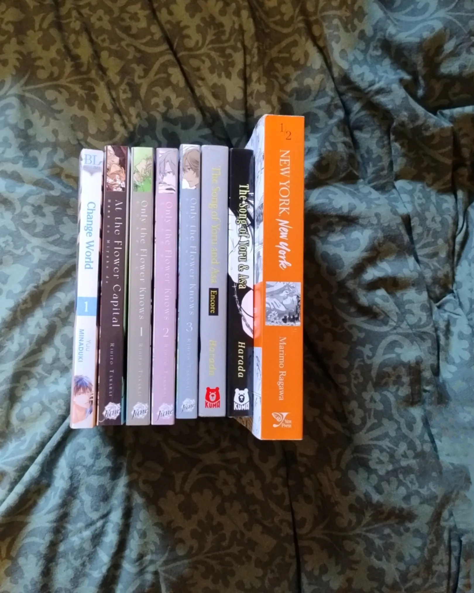 Manga Bundle