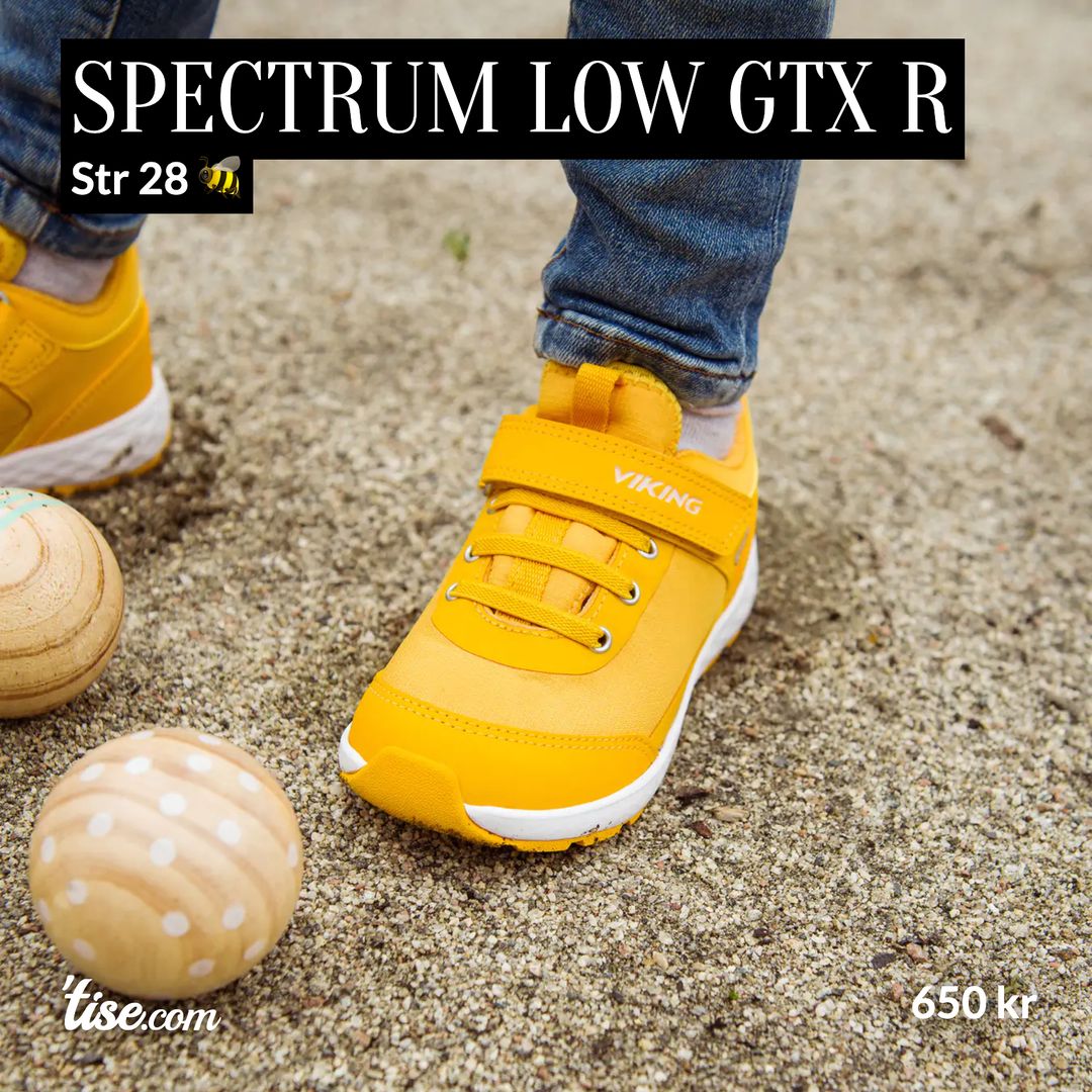 Spectrum Low GTX R