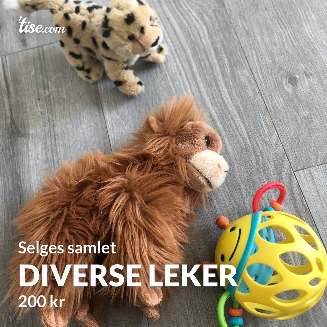 Diverse leker