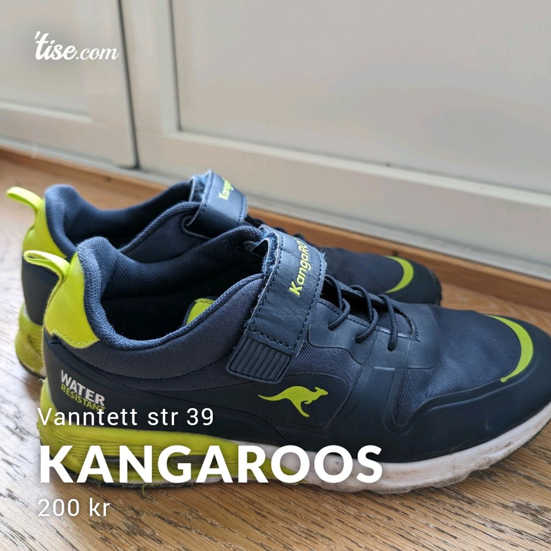 Kangaroos