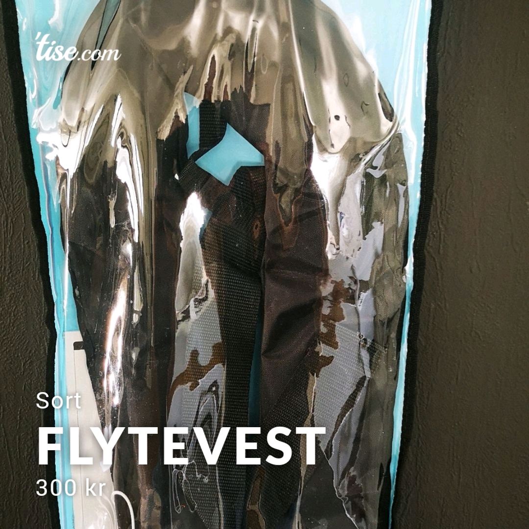 Flytevest