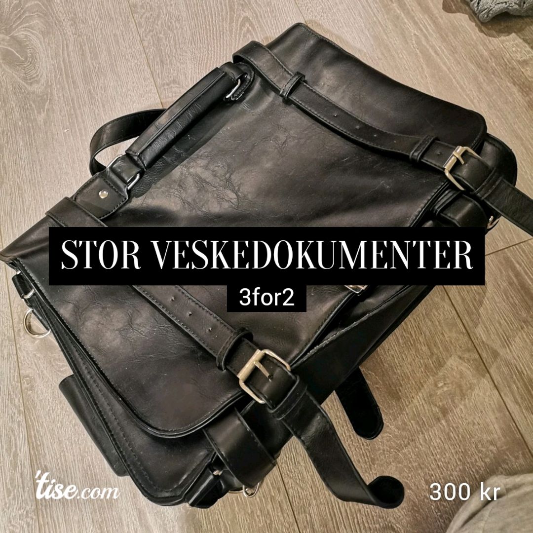 Stor Veskedokumenter