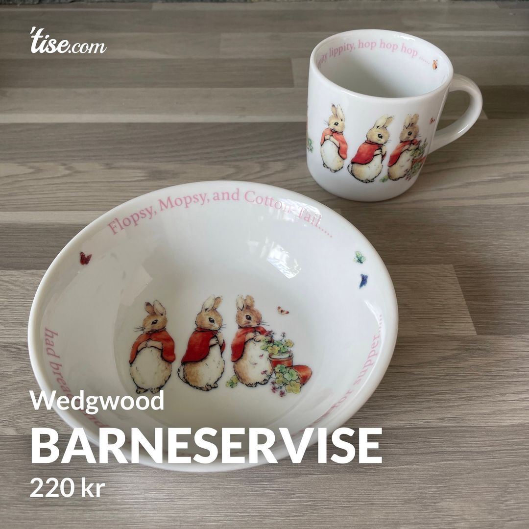 Barneservise