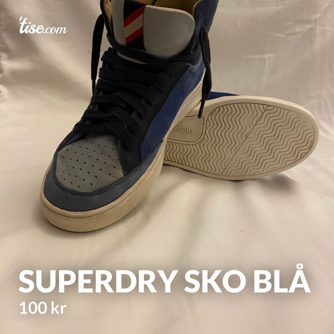 superdry sko blå