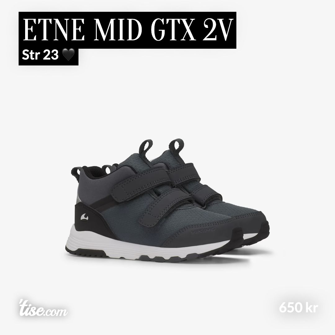 Etne Mid GTX 2V