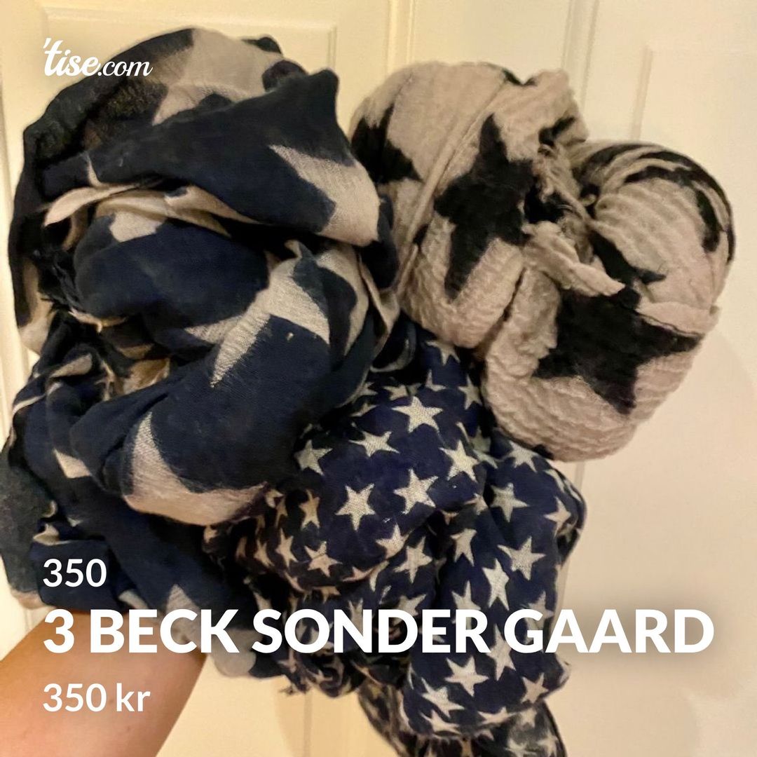 3 beck sonder gaard