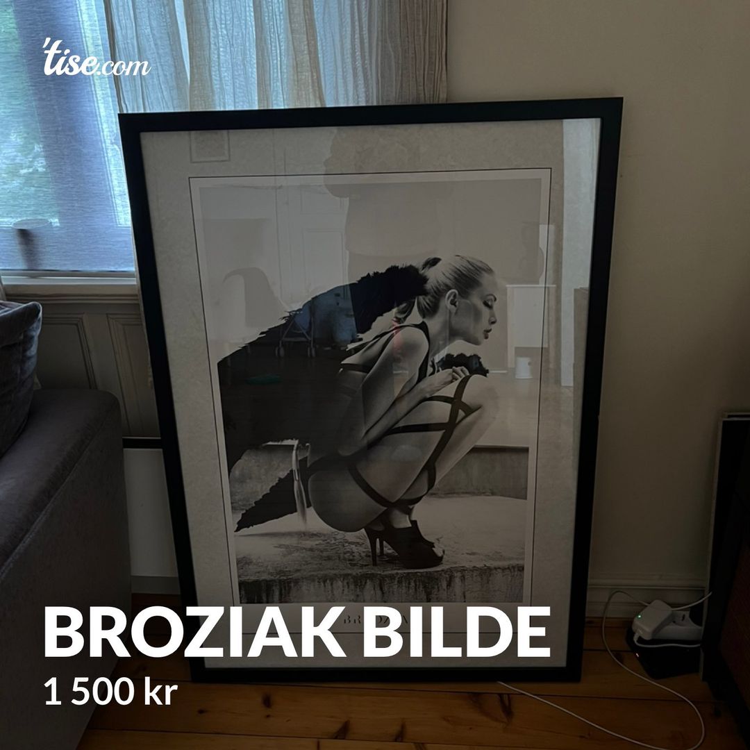 Broziak bilde