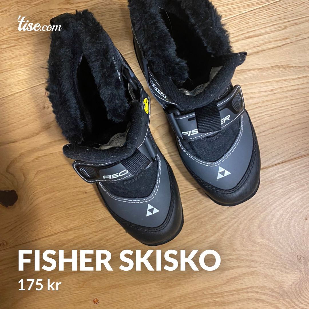 Fisher Skisko