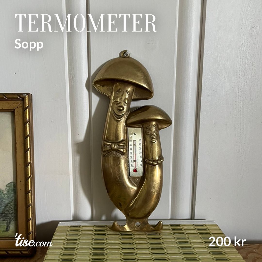 Termometer