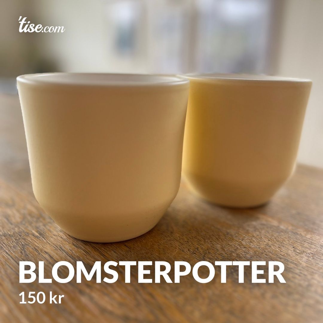 Blomsterpotter