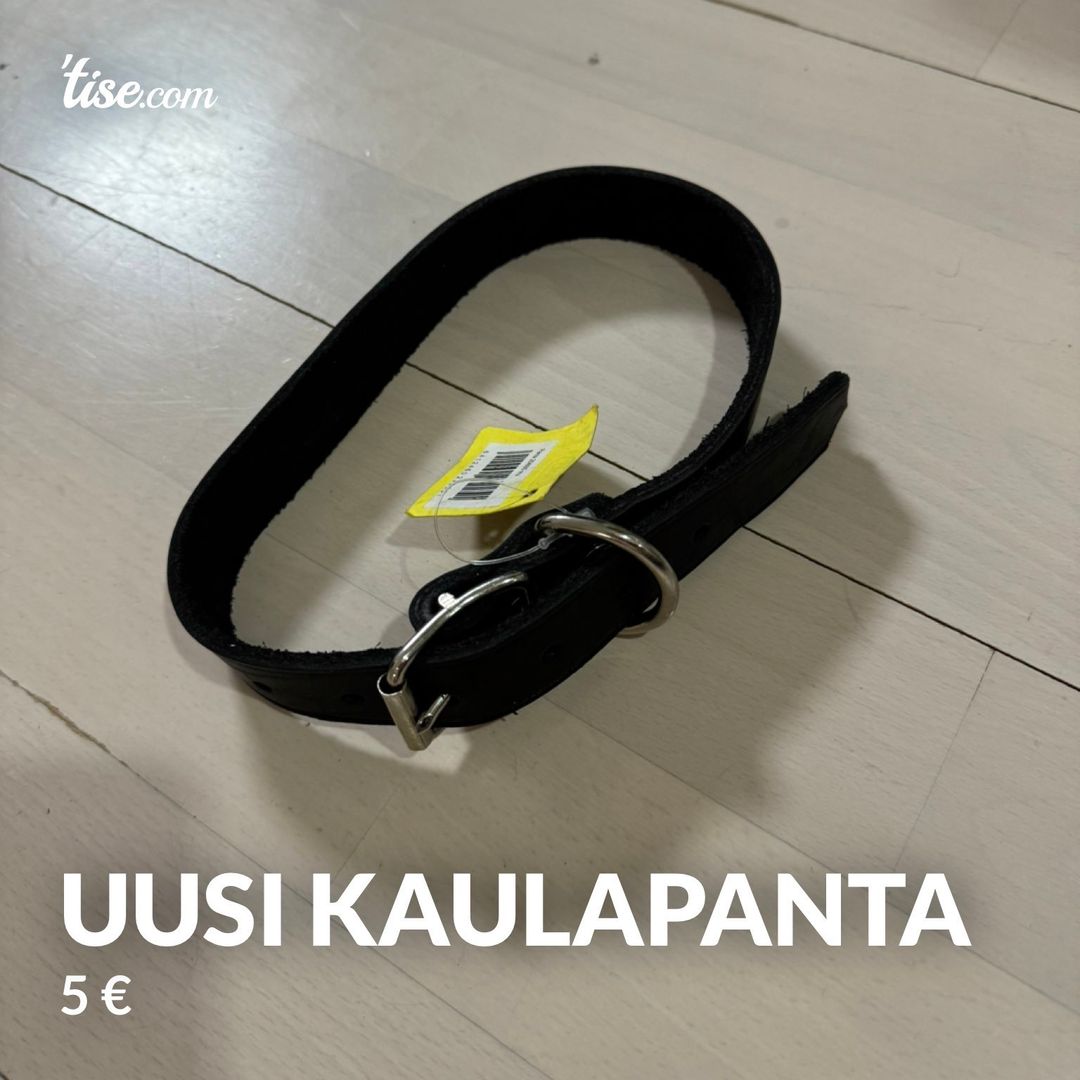 Uusi kaulapanta