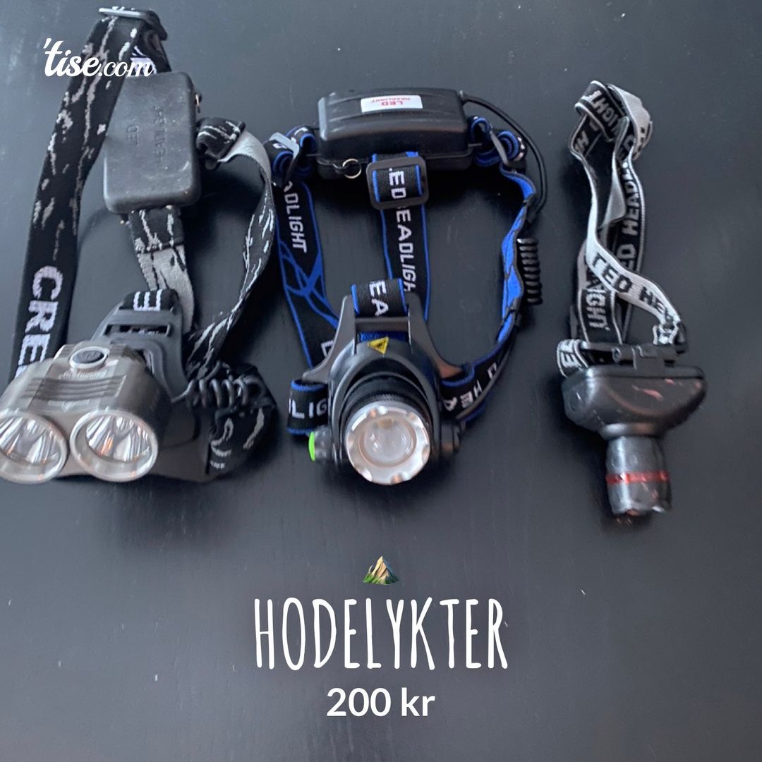 Hodelykter