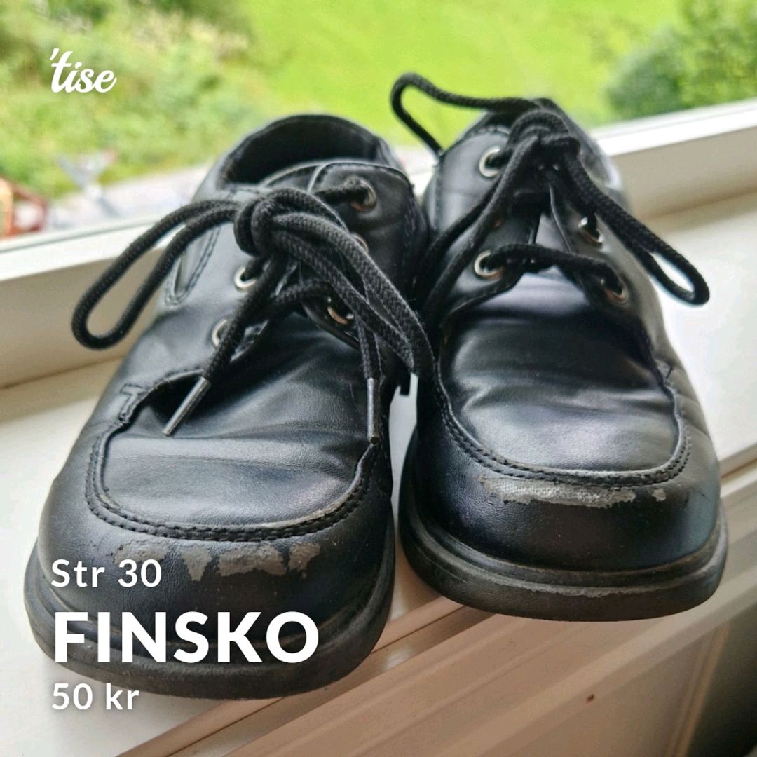 Finsko