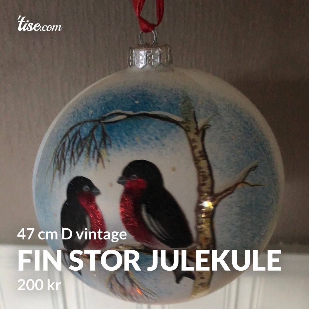 Fin stor julekule