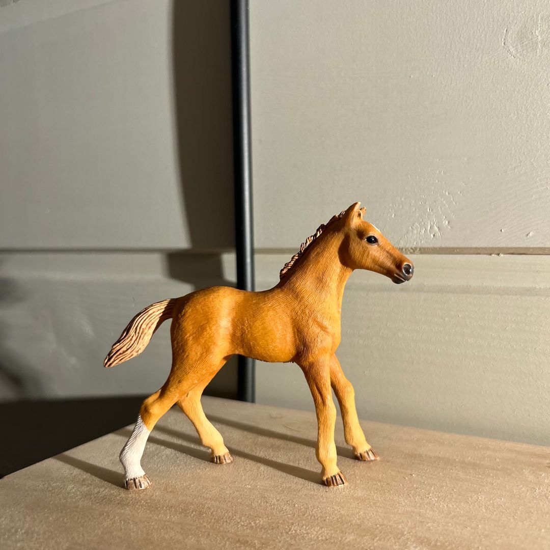 Schleich hest