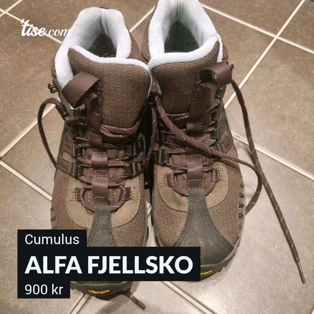 Alfa Fjellsko