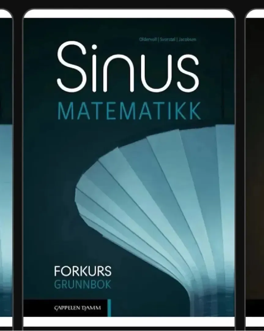 sinus forkurs