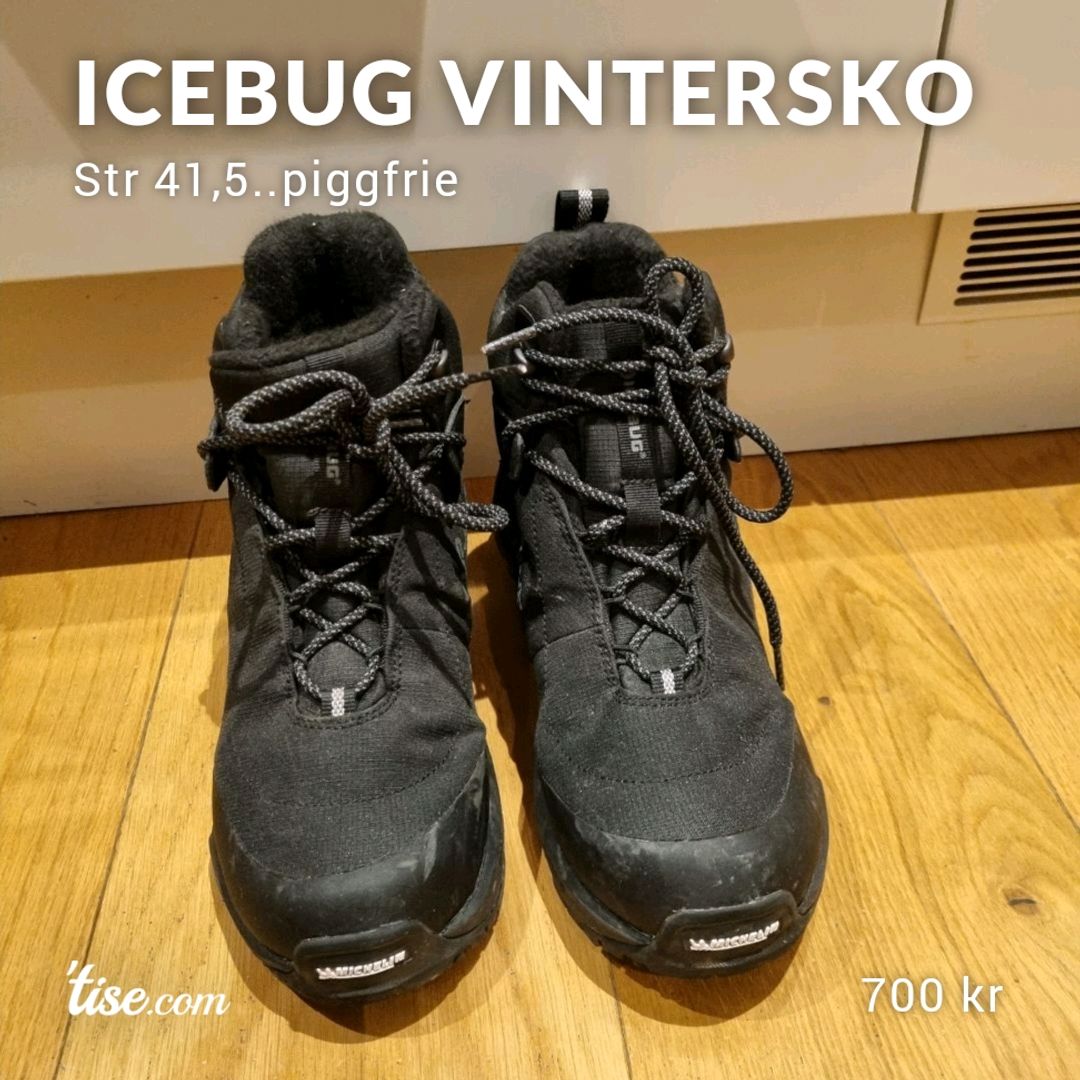 Icebug Vintersko