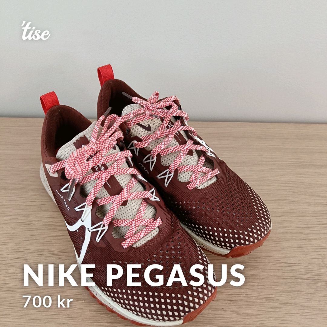 Nike pegasus