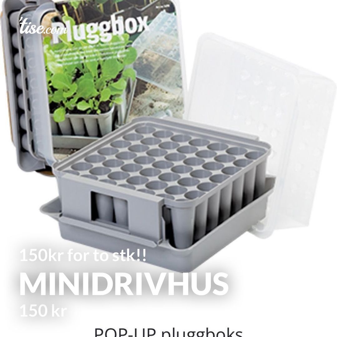 Minidrivhus