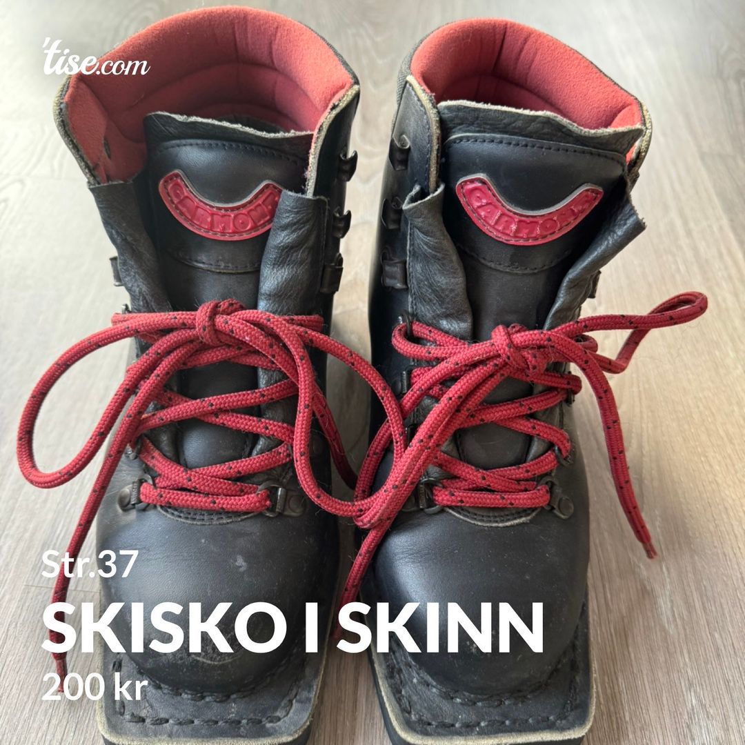 Skisko i skinn