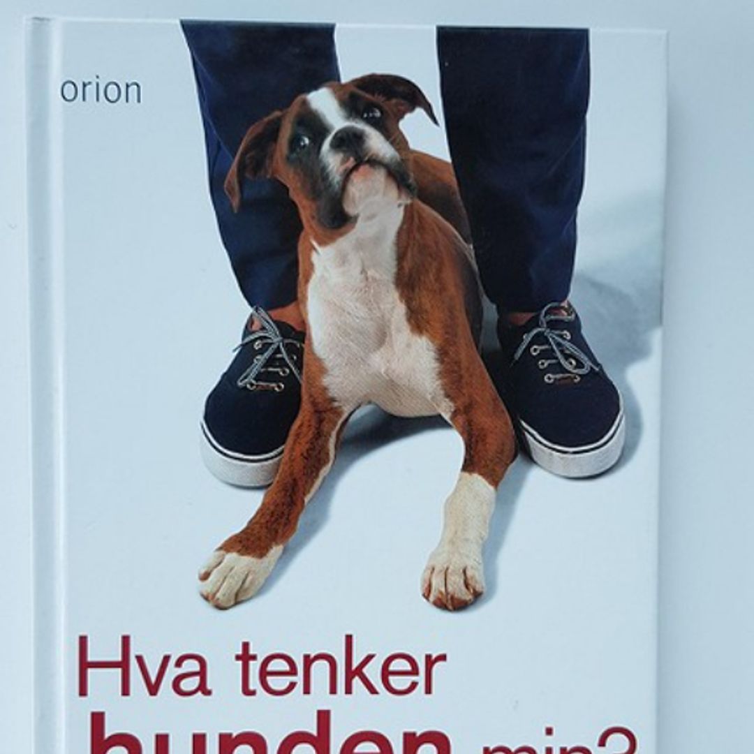 Hva tenker hunden