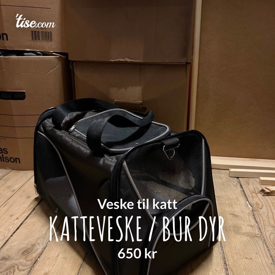 Katteveske / bur dyr