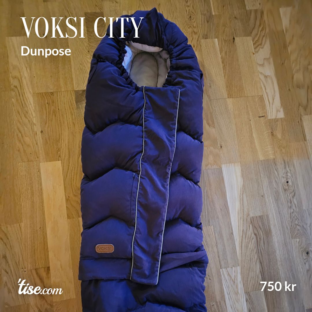 Voksi city