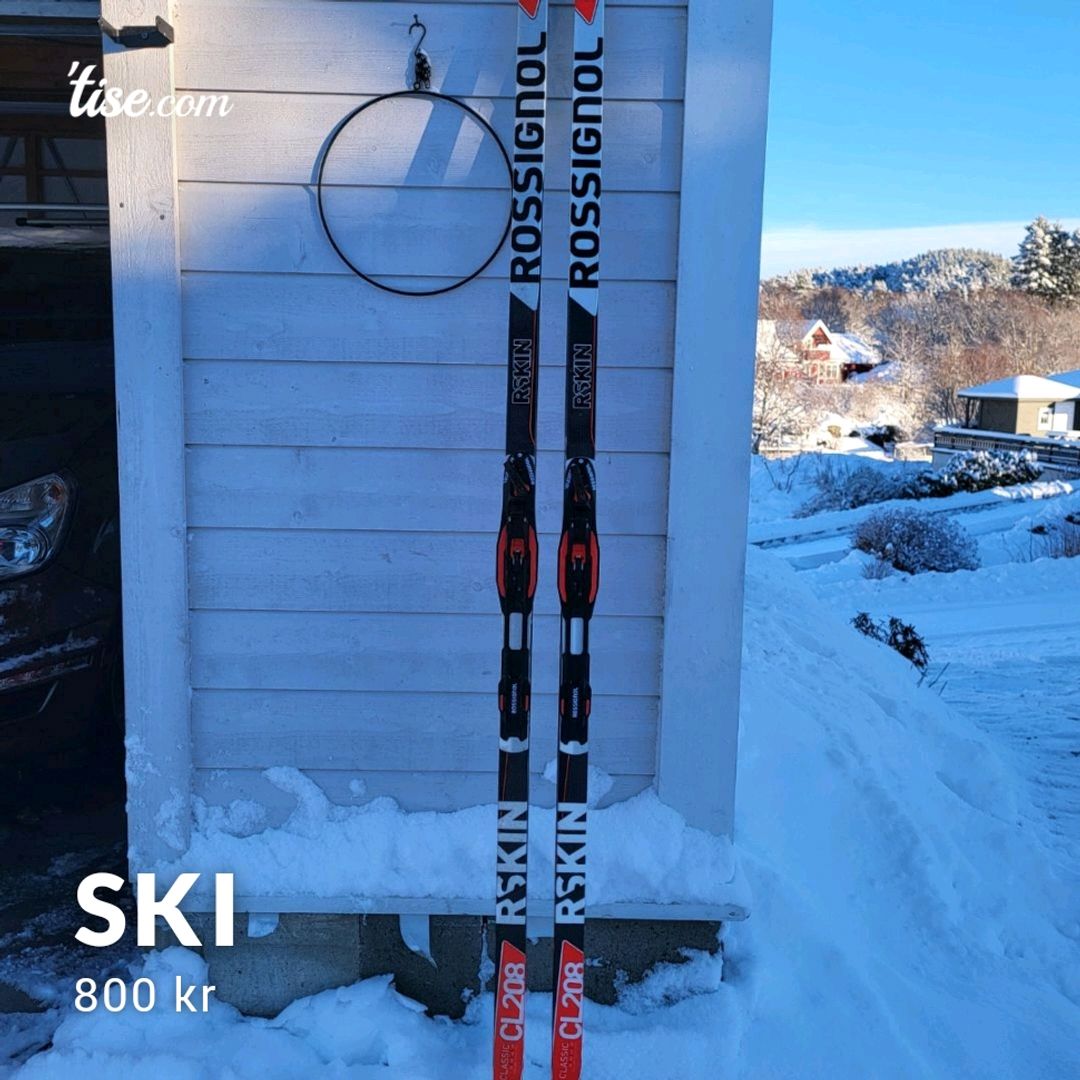 Ski