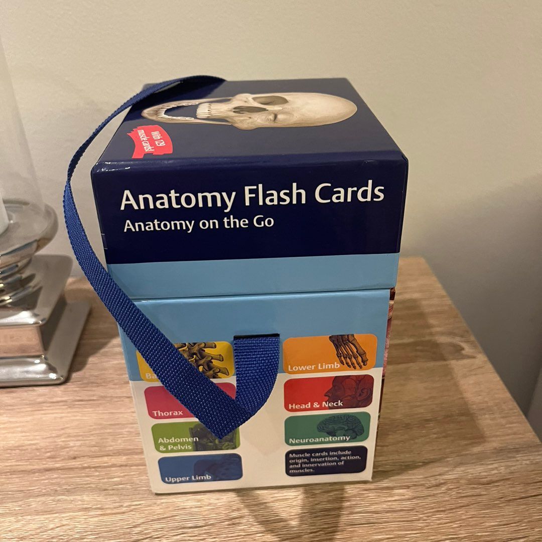 anatomi flashcards