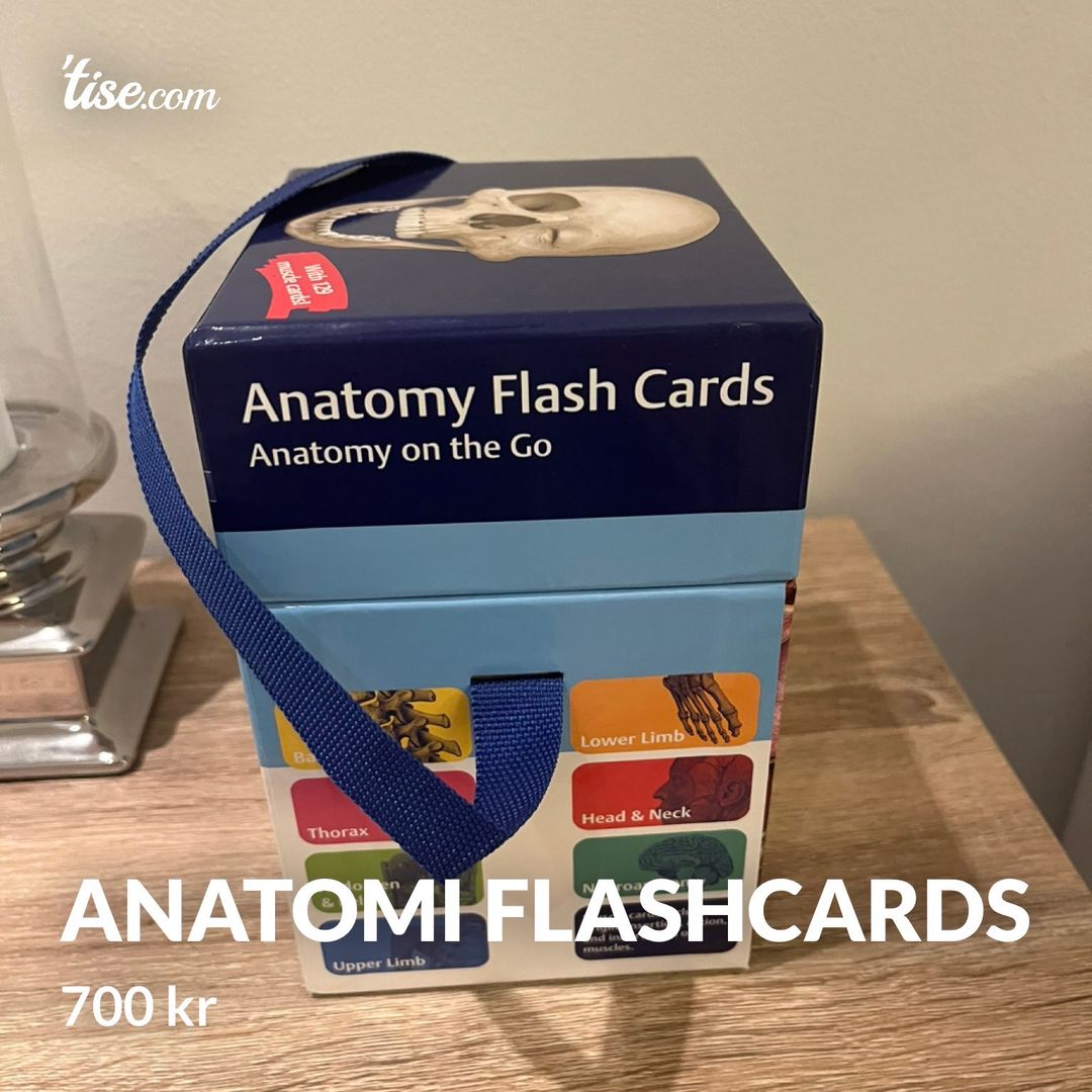 anatomi flashcards