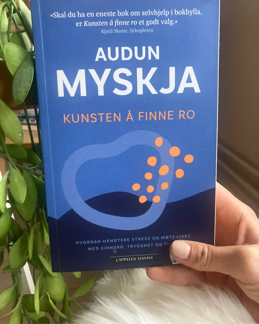 Kunsten å finne ro