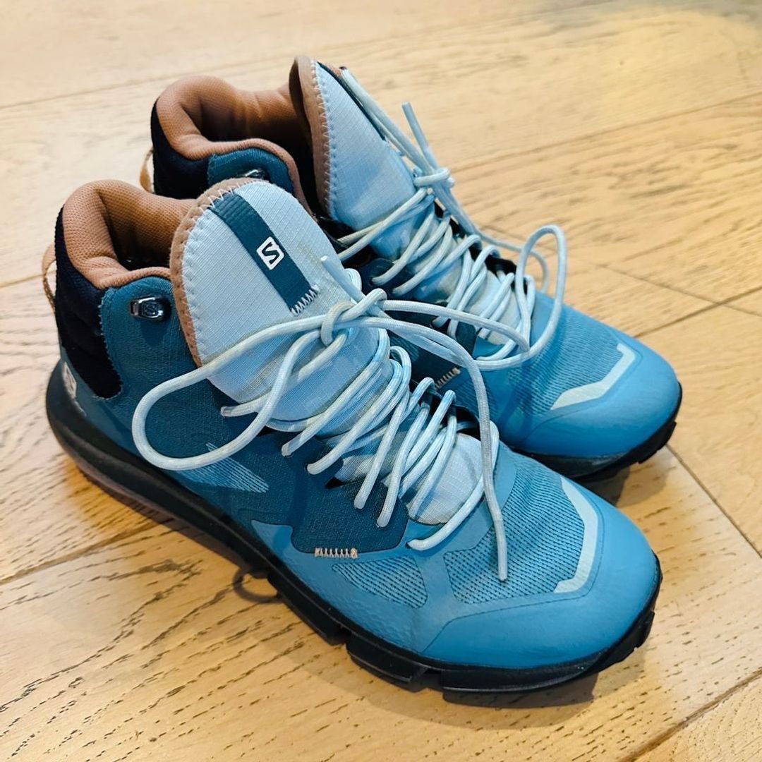 Salomon Predict Hike