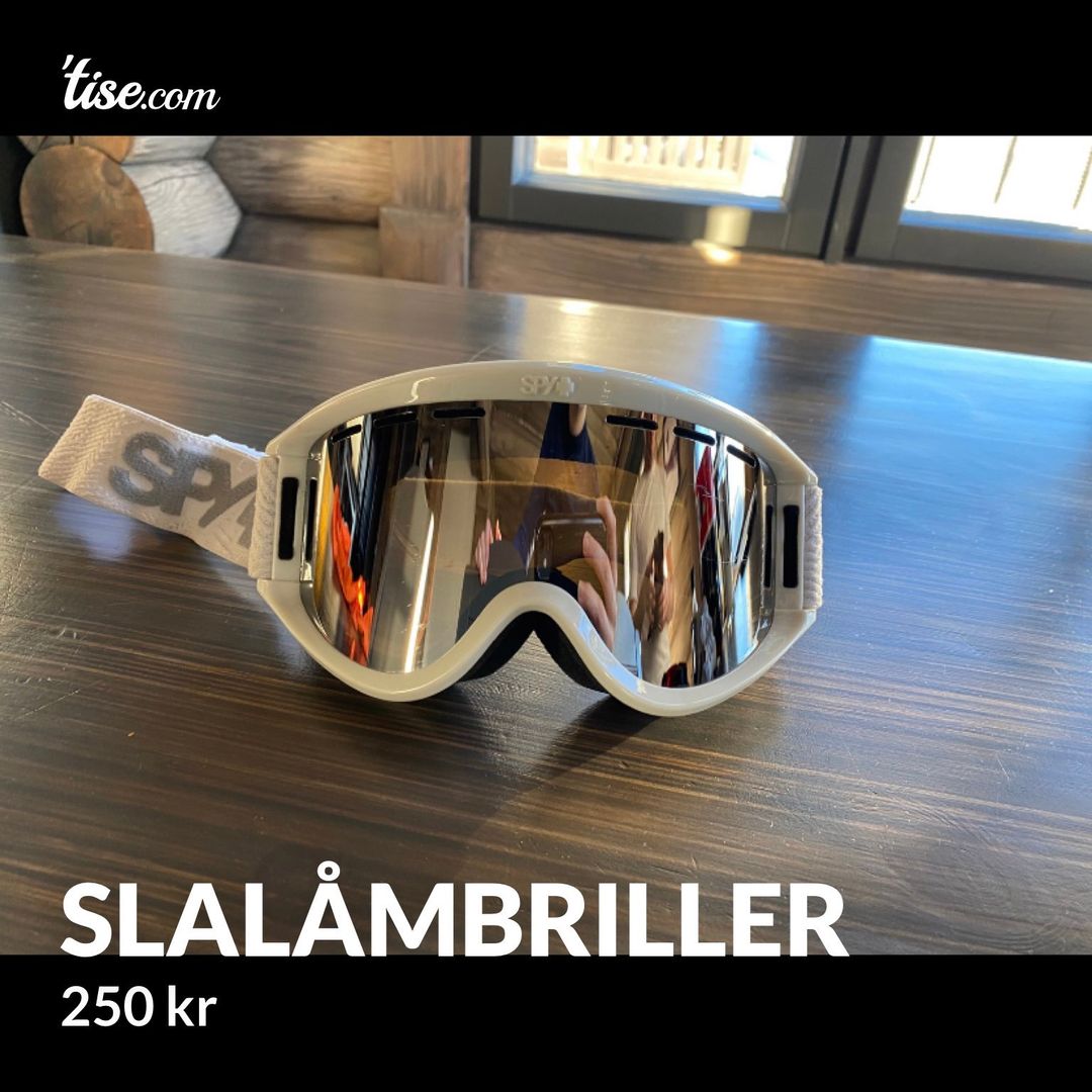 Slalåmbriller