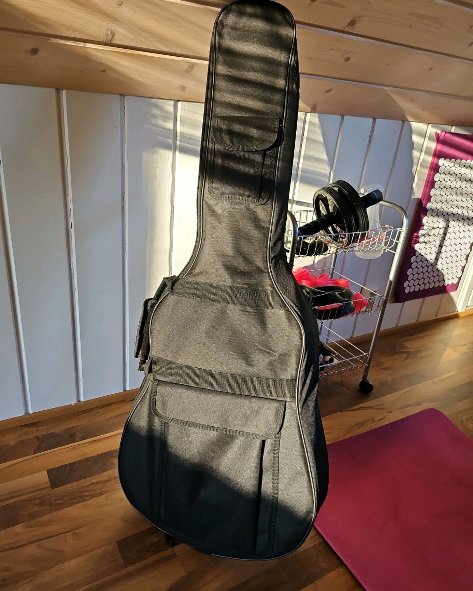 Gitarbag