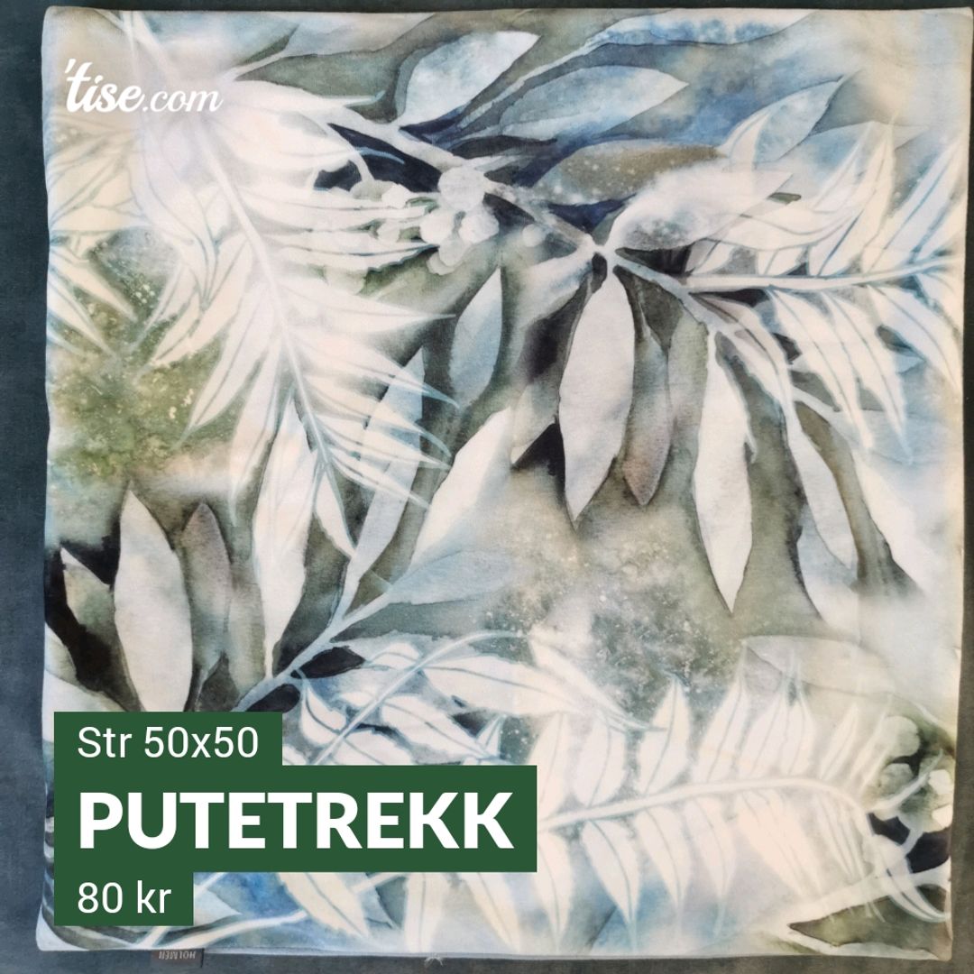 Putetrekk