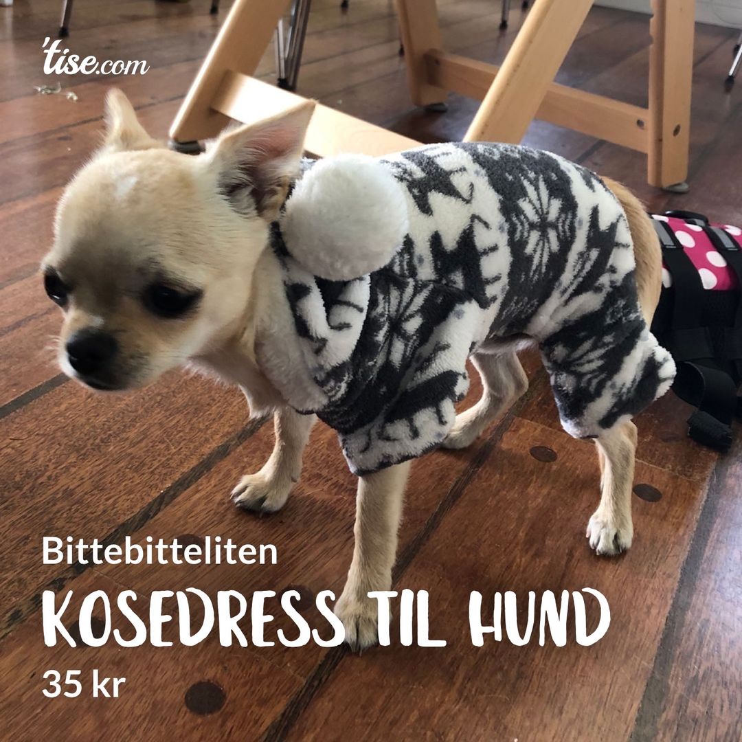 Kosedress til hund