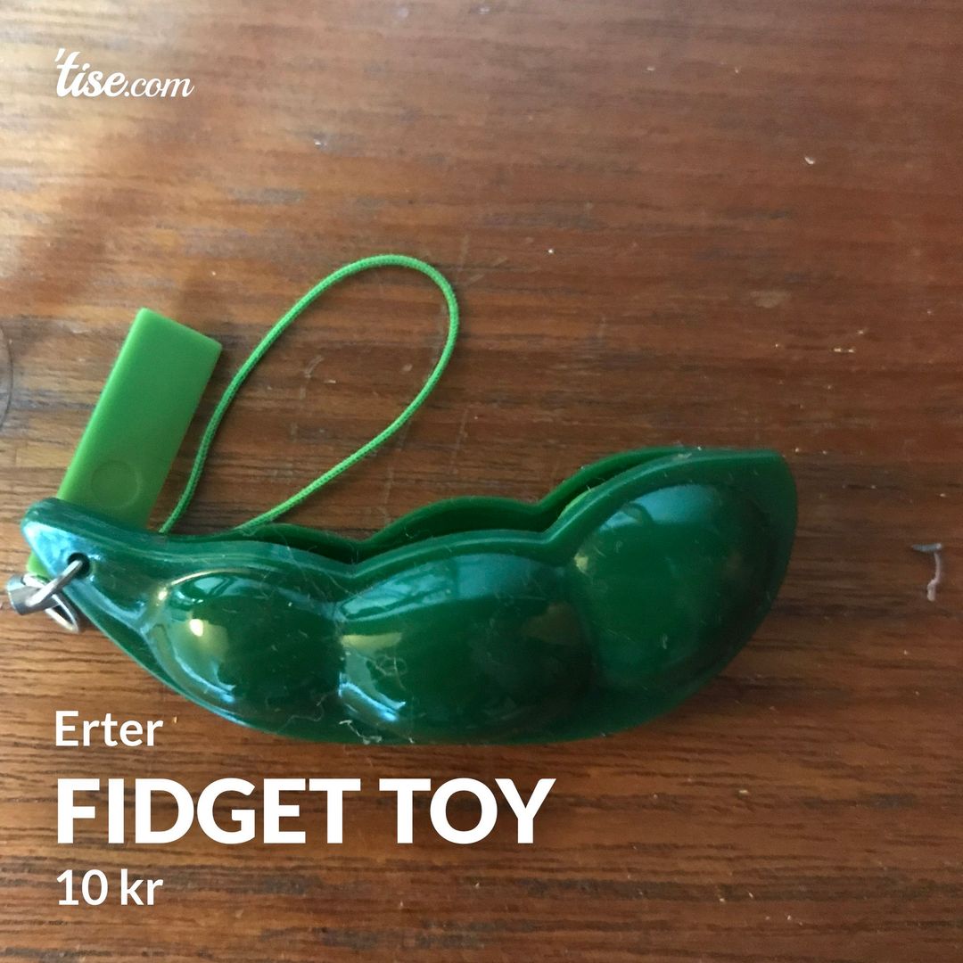 Fidget toy